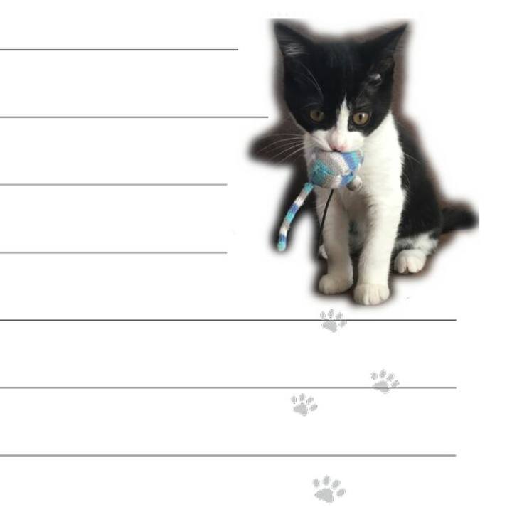 85f420f7 30bb 4ba5 b22f 680291ac8f11