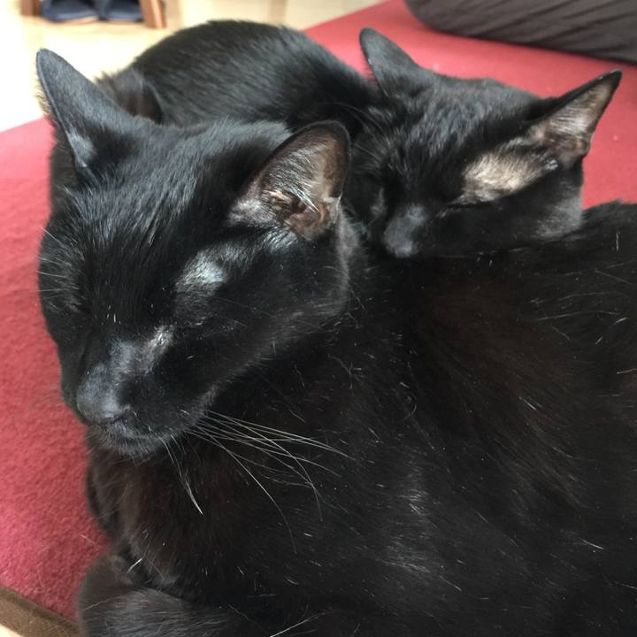 85f45190 8eb9 453a 9e94 a678d305b2b5