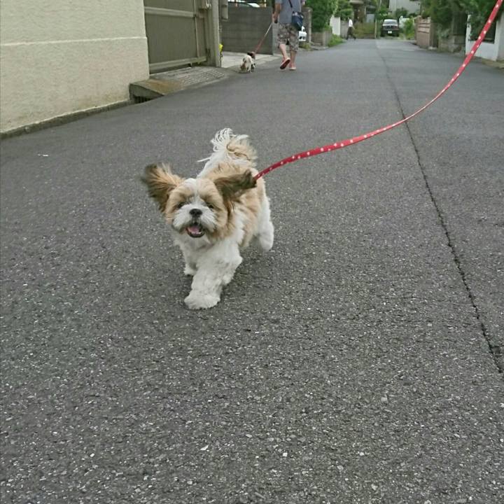 85f49f71 d713 42ae 8ae3 883faa7d5da9