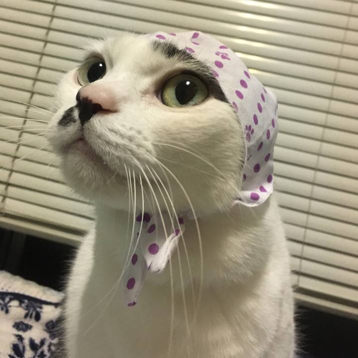 85f4ba10 e81d 4091 a820 4a6a8976c35b