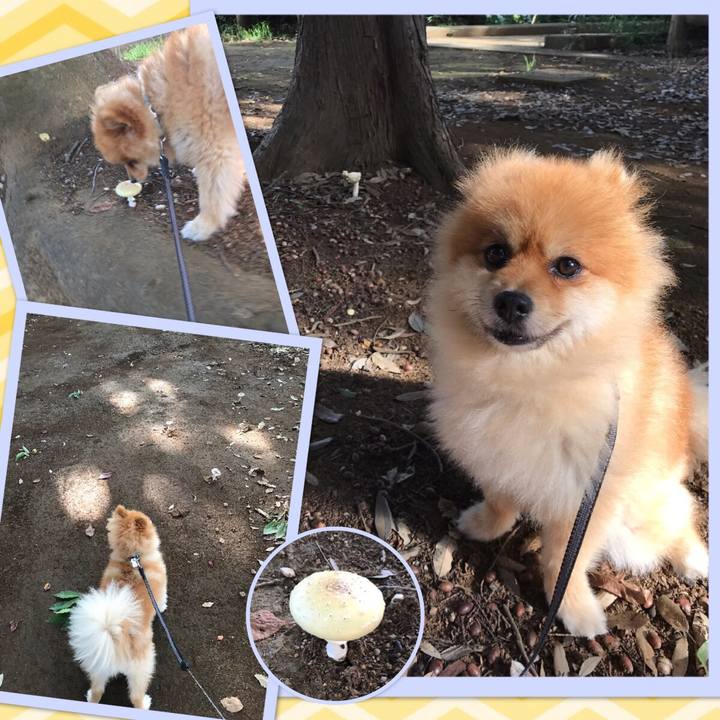 85f59f64 9bef 410e ab00 202b84d9646d