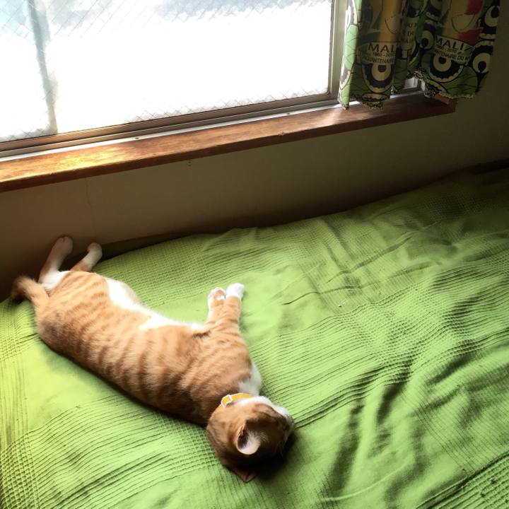 85f5f1fc cafe 4f8a 8ac2 feb724ffc4a4