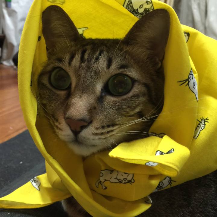 85f601ee ee11 4d96 81e6 e2486e7d95ed