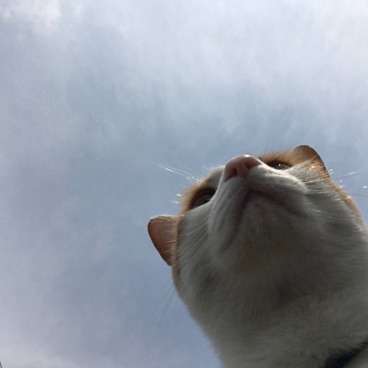 85f6931c 4d79 4899 8627 ce88081dcf96