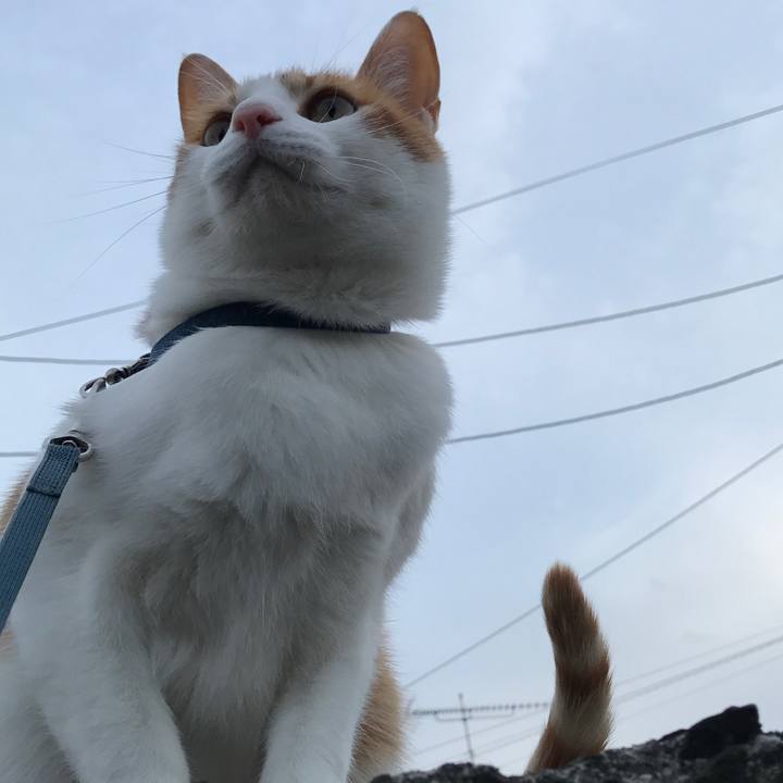 85f6b059 b6ca 48c9 8390 0a0fcfd36ac7