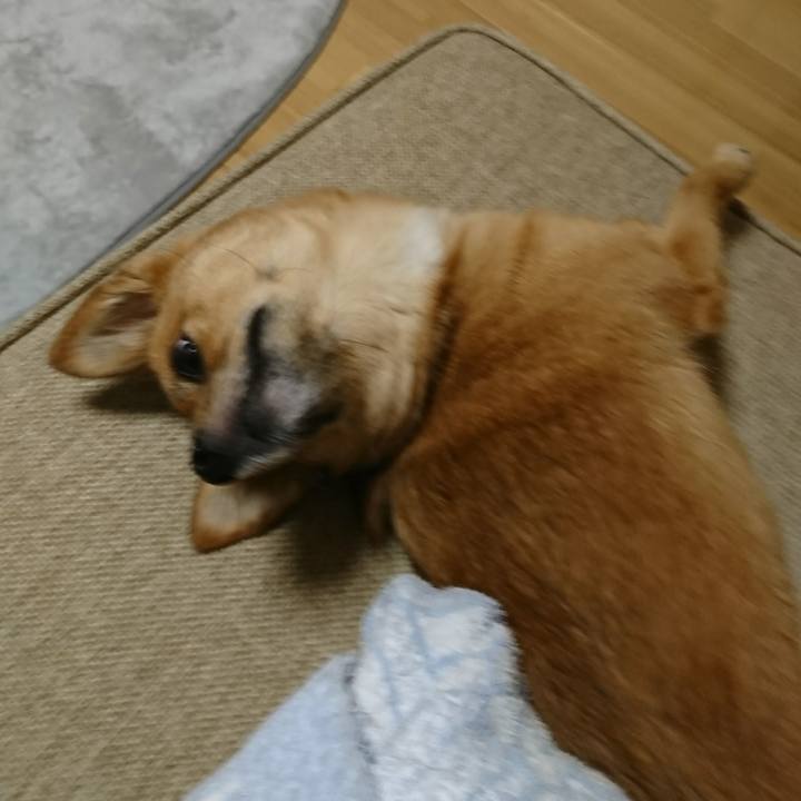 85f856ba d78d 4801 8fc0 1f8ab9044377