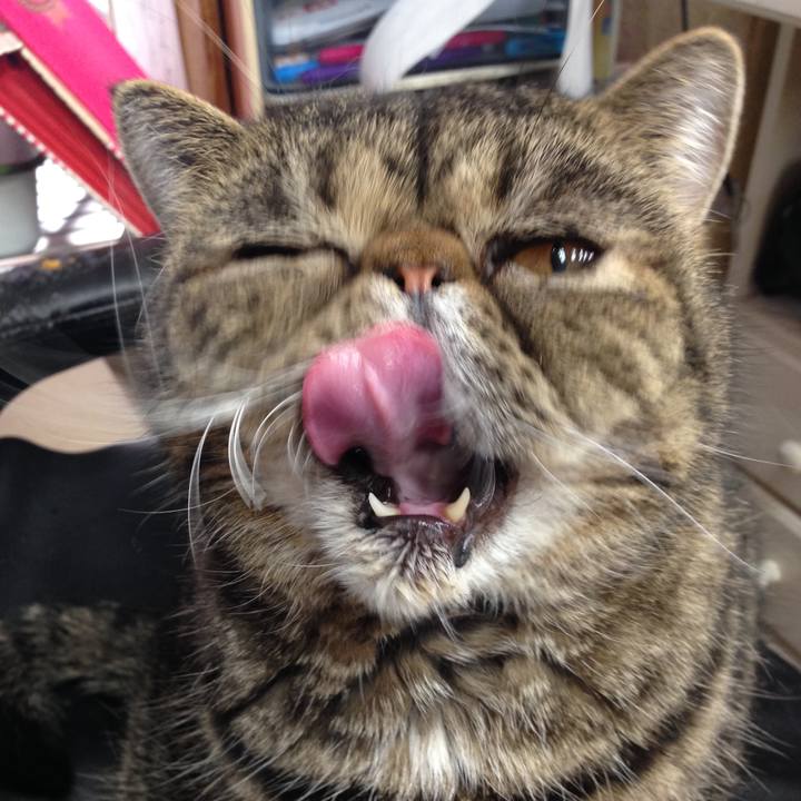 85f87b83 ea45 4de5 aef4 ecc8b5c112bb