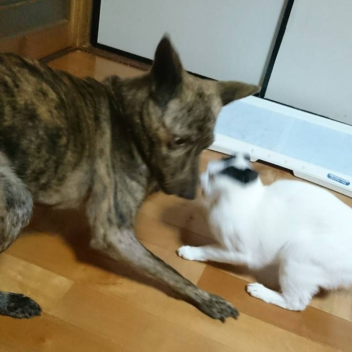 85f91e22 6898 4868 b46d 4eaf289067b8