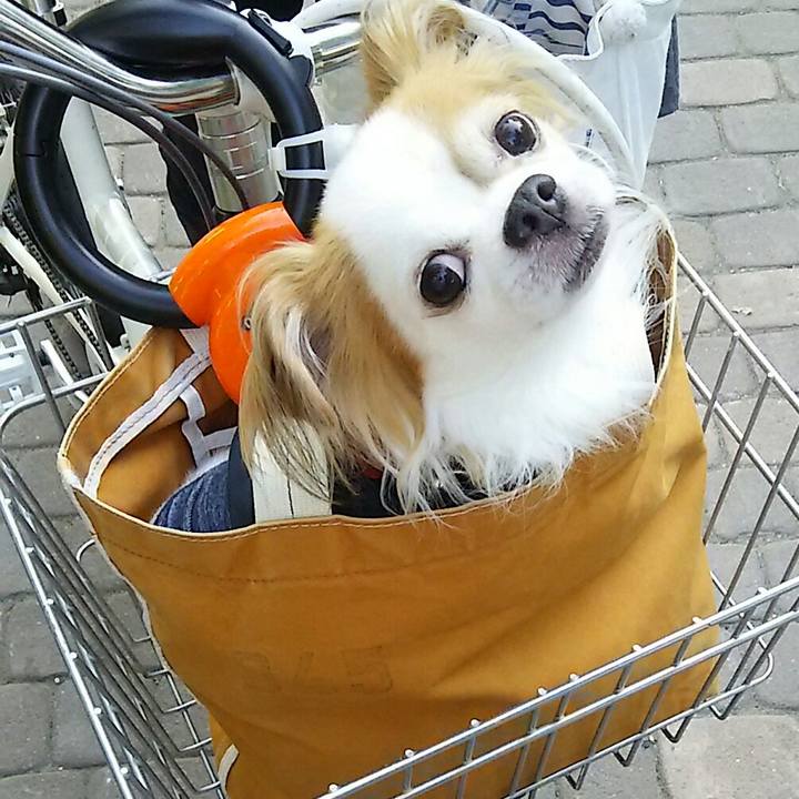 85f95ebb 6121 47d8 9372 bb31ee3249fc