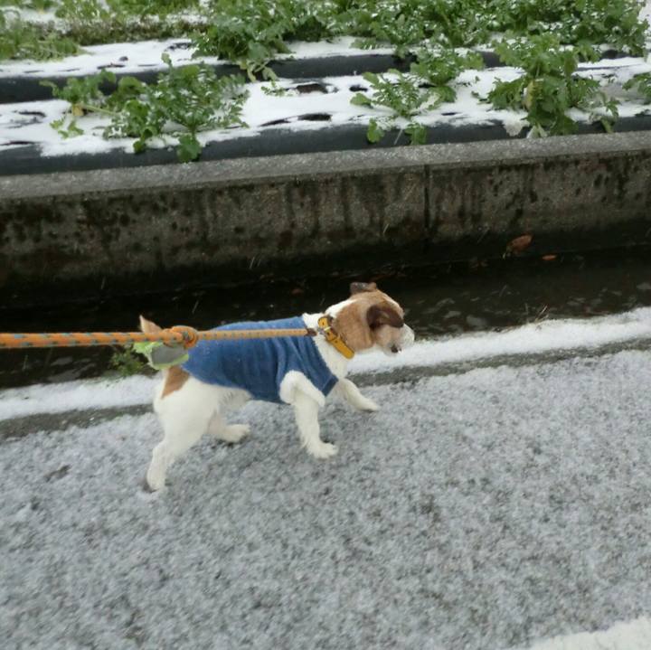 85f9b502 f298 4466 9b23 6f18a31498ac