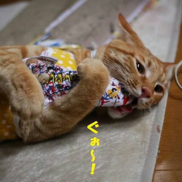 85fa2a82 5bc4 456a b01c 0f4c7f80fa6b