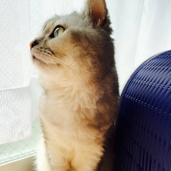 85fa3411 2b4b 4cf4 8807 873742082058