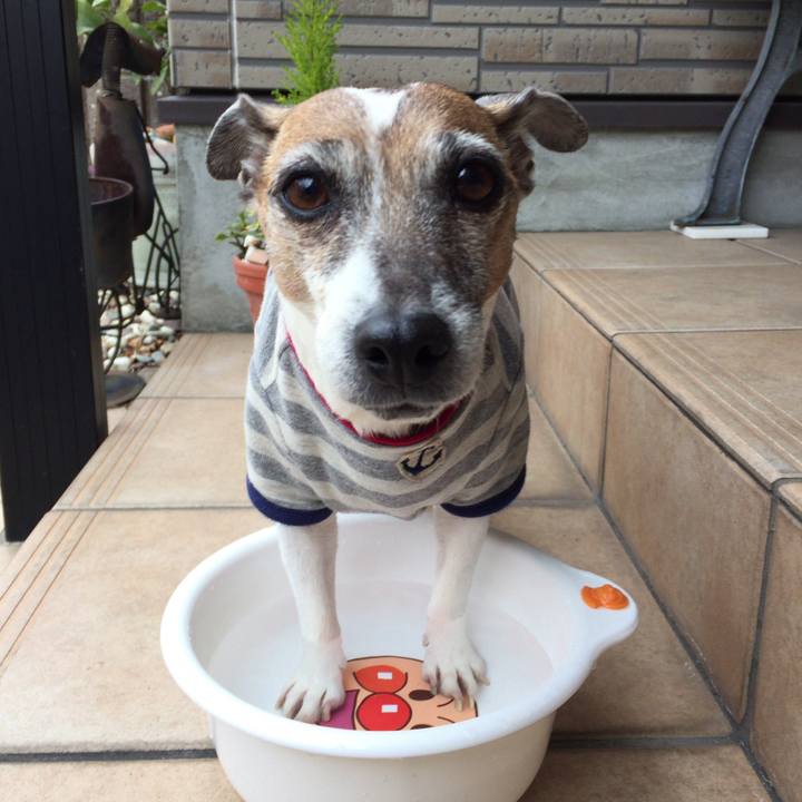 85fadae4 fa87 4ffc bbc0 1071528c2173