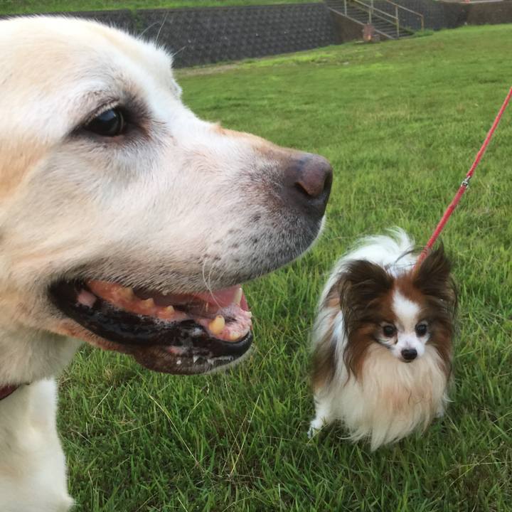 85fb6271 9e04 496b 803e 010bd1116ca9