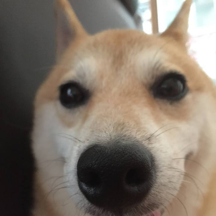 85fc1672 9583 4483 a40b 963adc59da5d