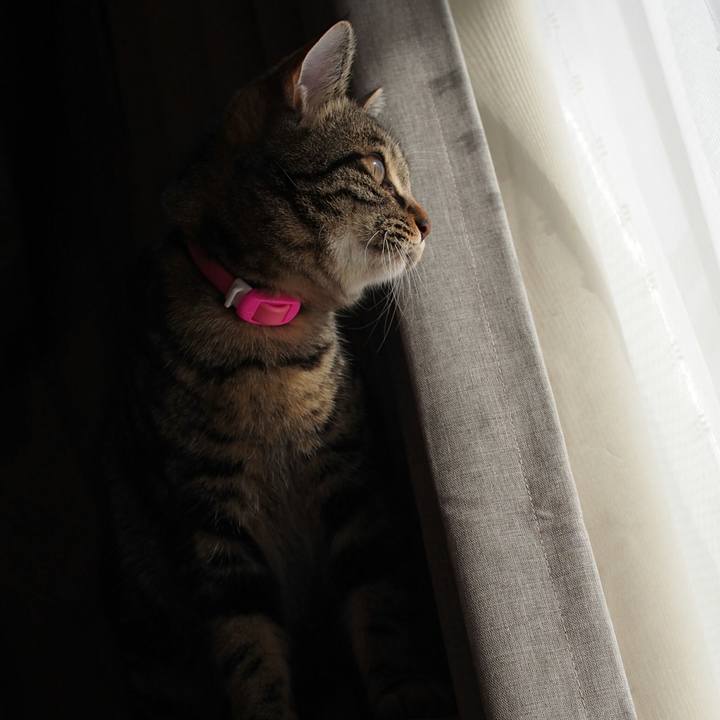 85fc1da6 9e2d 4168 82cd 4170591729e7