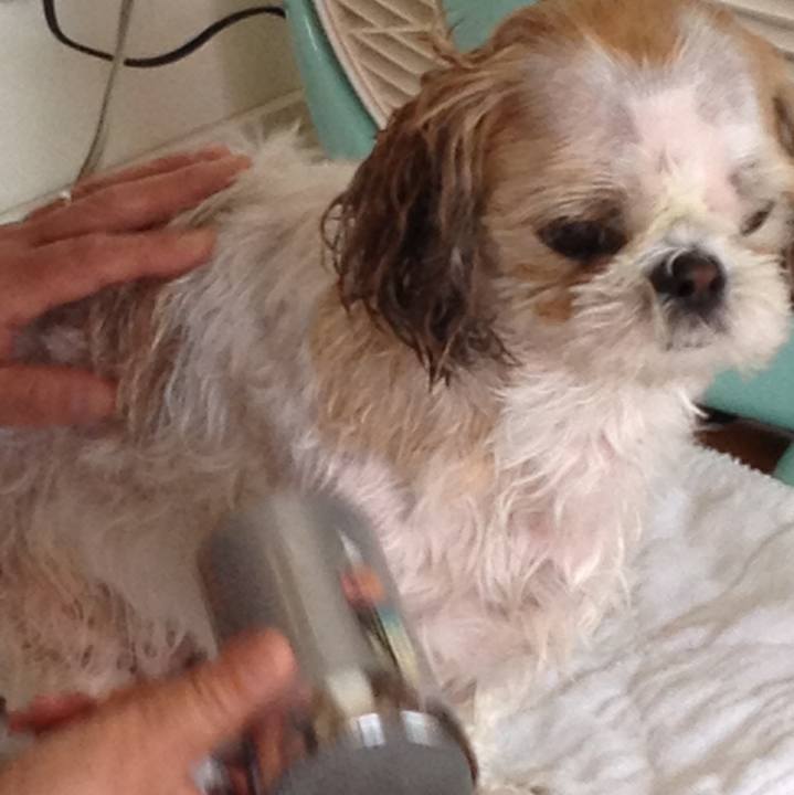 85fc4e17 f9f7 443c 8682 b9db70946c98