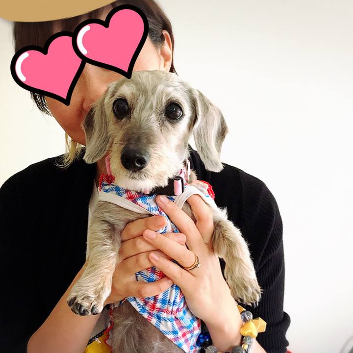 85fc5df5 9585 4327 b025 fb515cd4bef4