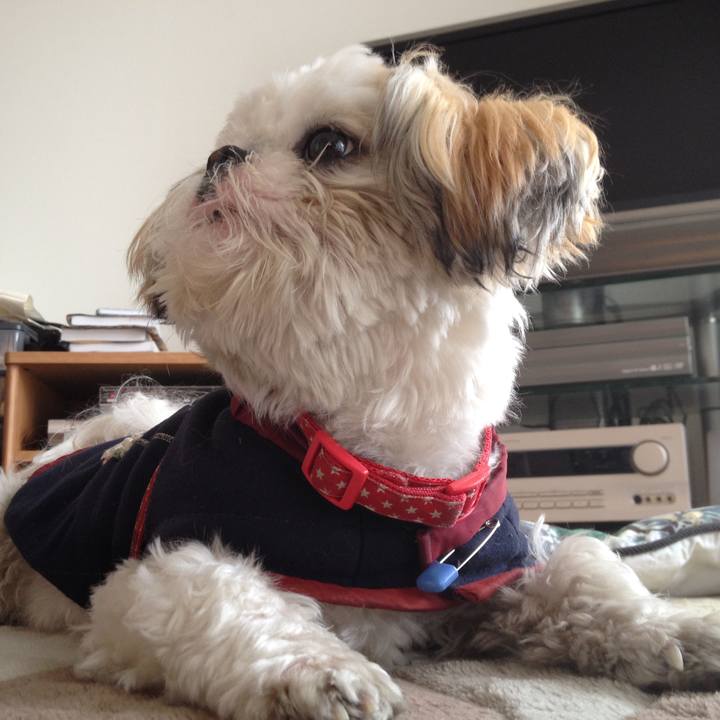 85fc6060 a74d 4448 ace0 cd845ceeca0c