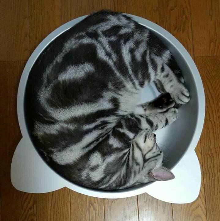 85fd2c74 b2a0 423f 9186 8b75e8be9270