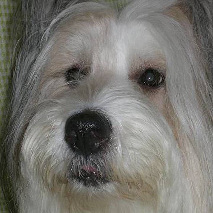 85fd3459 dbc3 4240 95f8 677c66b2e968