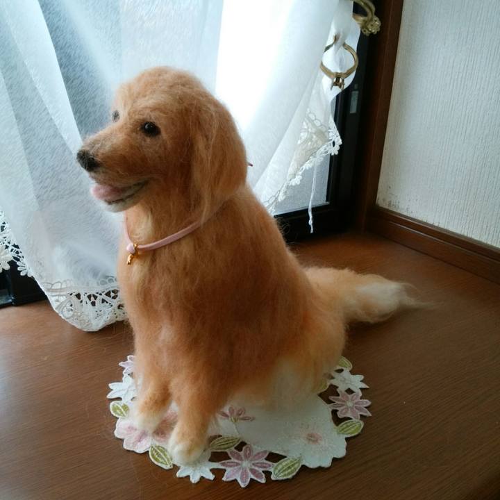 85fd56f3 89dd 4c33 9fb1 e44a29456067