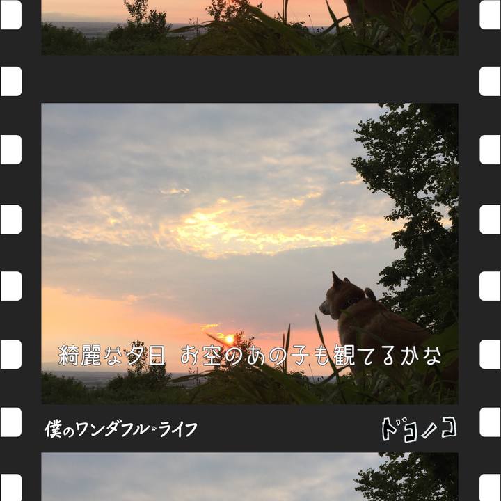 85fd6db0 b199 451d bf10 6b0305cc7f50