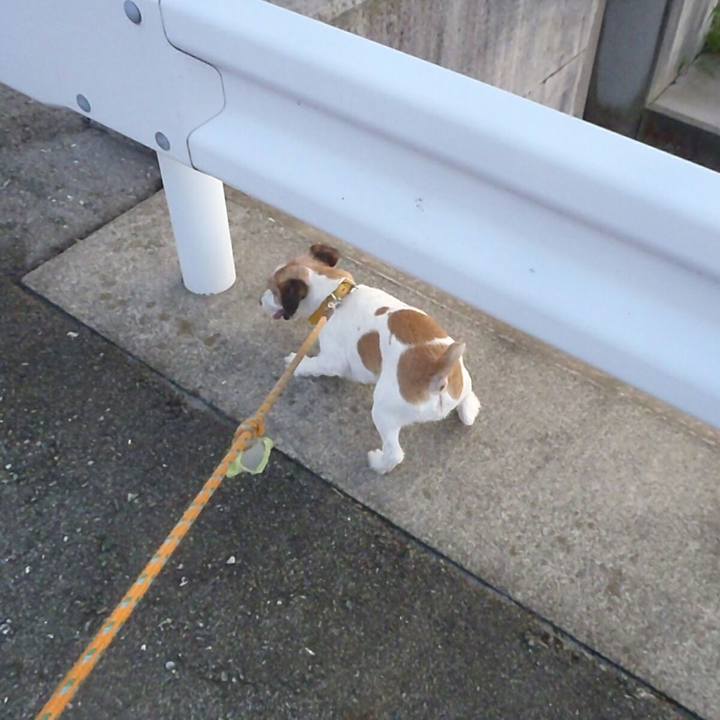 85fd7faf 1cb2 4e3f ad81 bb5a85bfe027