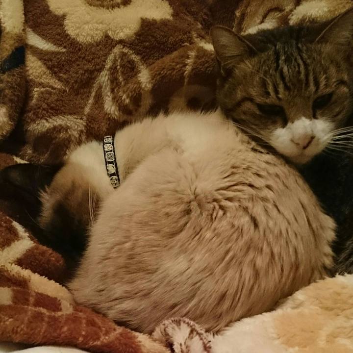 85fe4507 3d3b 4d3c a8ec 58379e315990