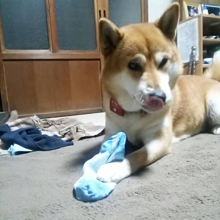 85fe502e bf42 4364 9b77 155d6e482aa0