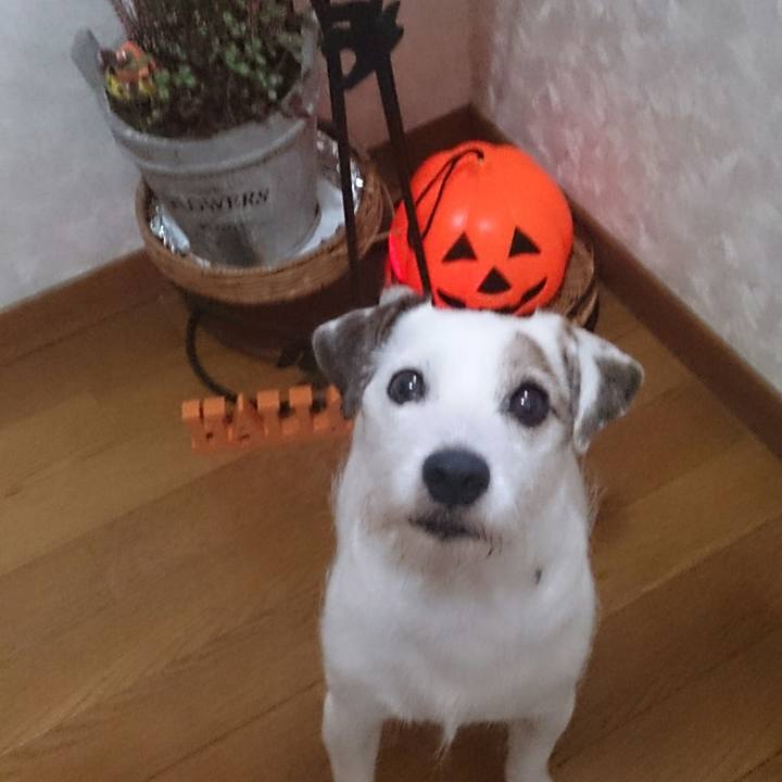 85fe6163 2063 434e a5ce e3cff95cdc78