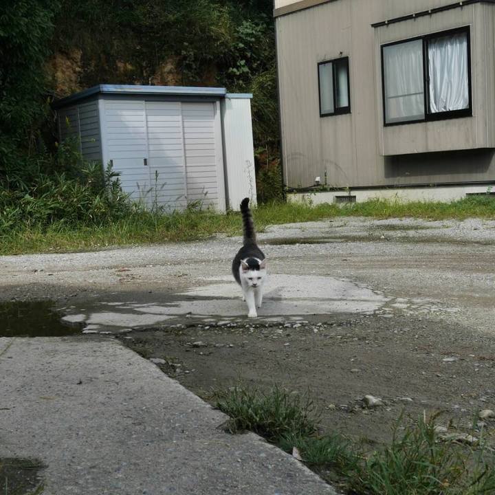 85fe8cad 4a3c 4abe 9faa 0b1fec72624c