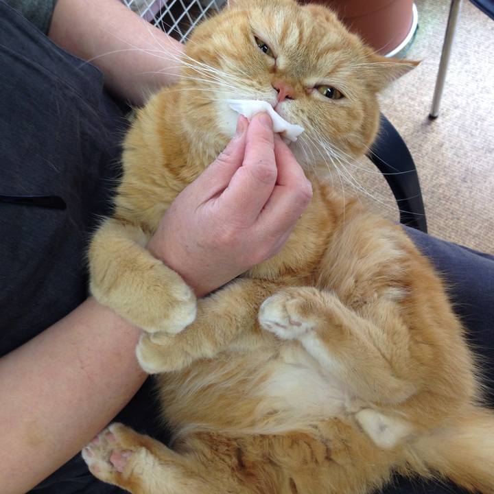 85ff8dbd 4433 419a b97c c75ff93eb4ff