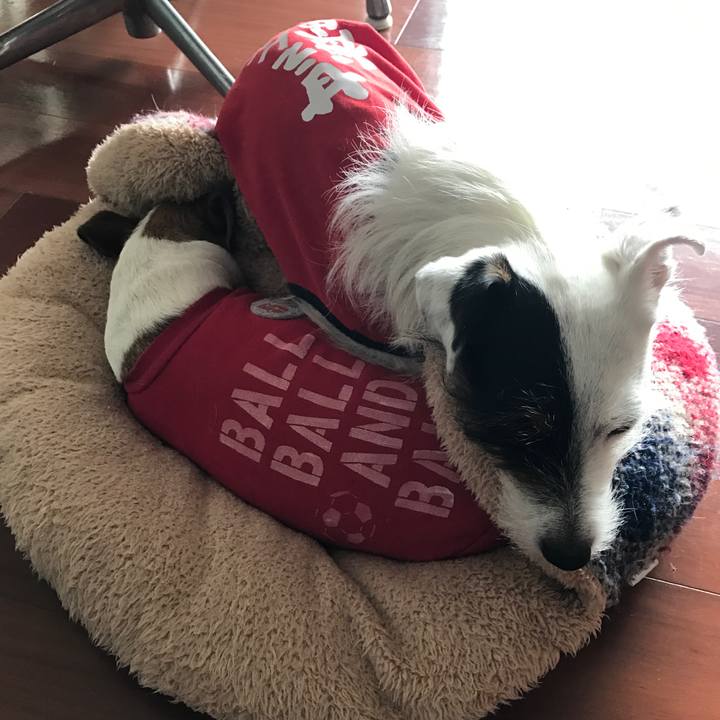 85ffa18d 215d 40eb a576 b436db6c95e8