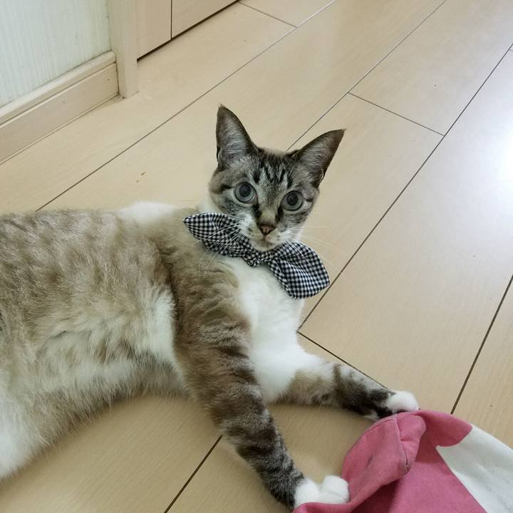 85ffae57 9fe7 4104 825e b5bd688c3102