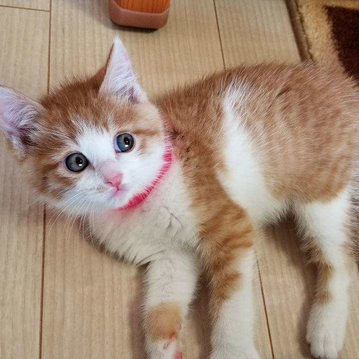 85ffef9e 3002 4c33 ae51 67ffe06618f4