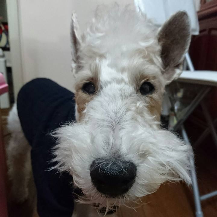 86005b1e e20a 44d1 bda0 e7a2bc42c56d