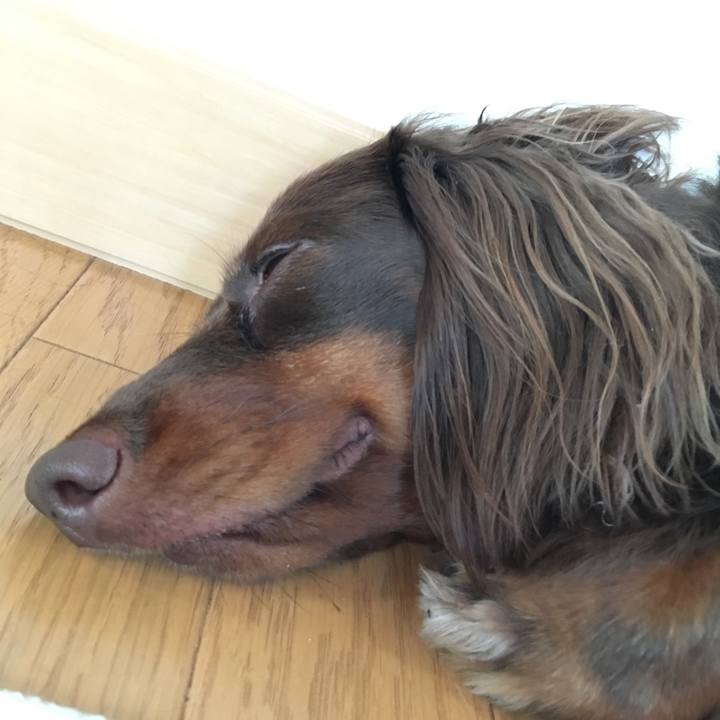 86006fbe a73e 4e18 afa5 d87e6b3858c9