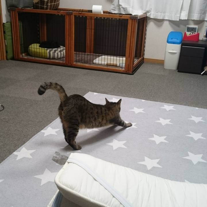 86008da5 96ae 4141 bde3 06df4d50cdec