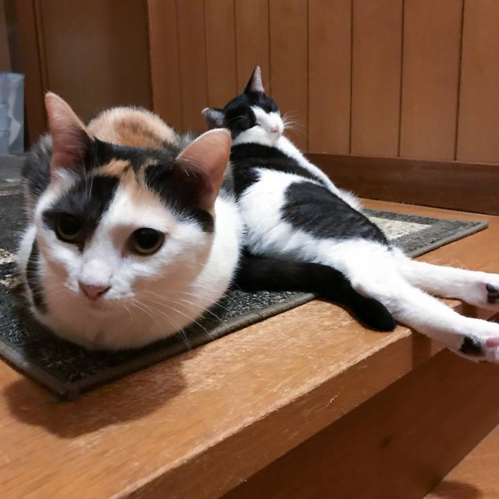 86012946 1564 45f9 8625 2e000458ec12