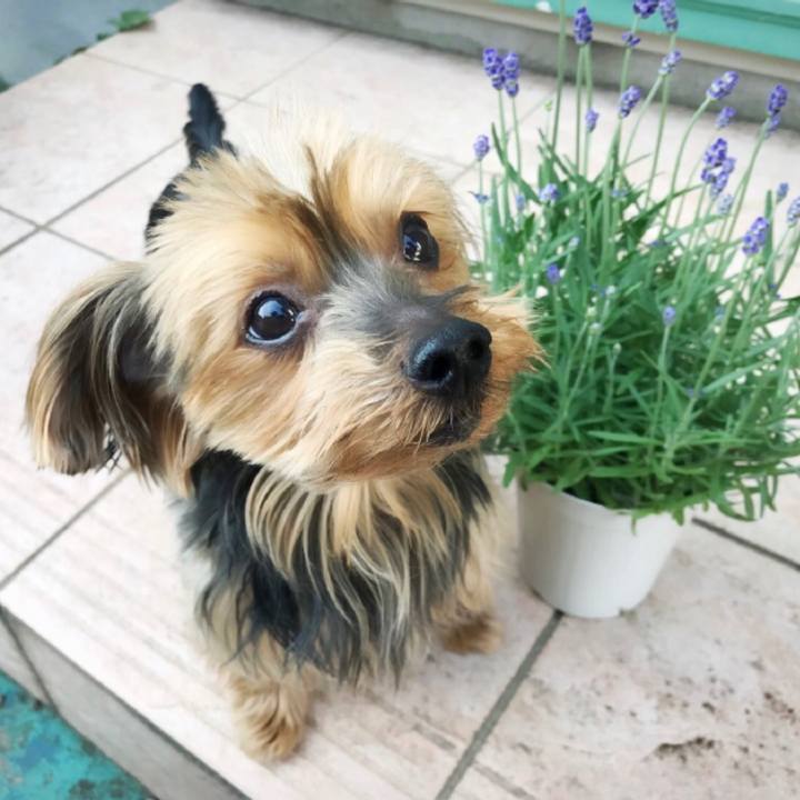 860169a4 9b65 4e60 afa3 559e3158ac3e