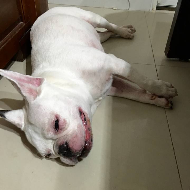 86028c53 dbc2 4449 8423 5e069736fa13