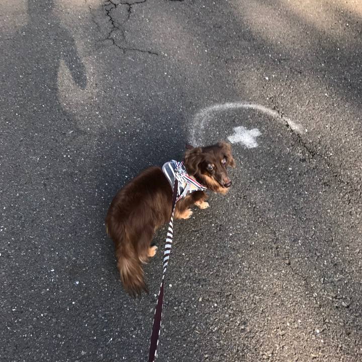 8602f01d 0d5b 433b 9ec4 34a979041042