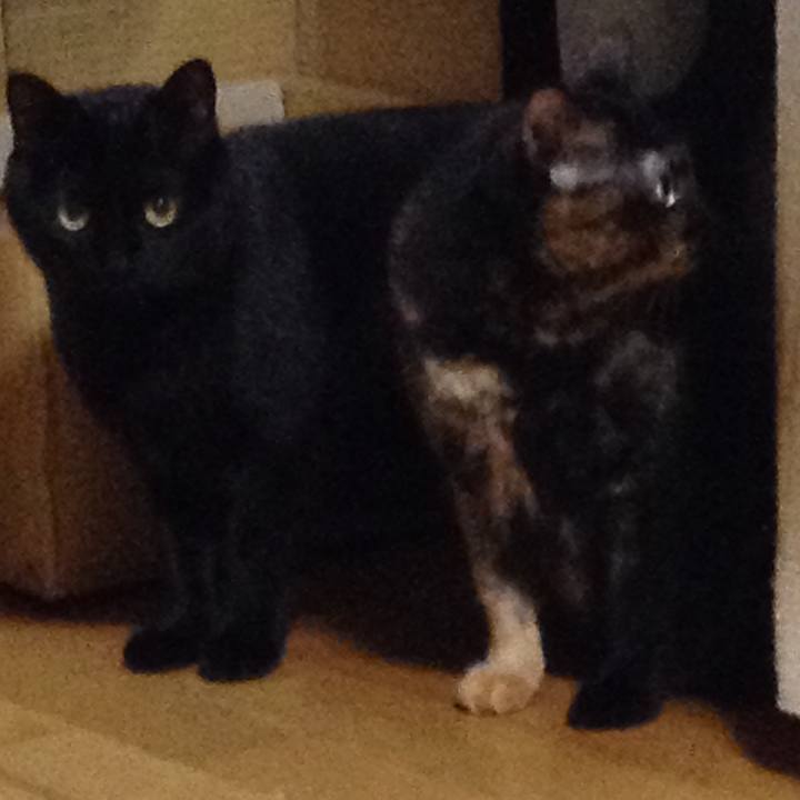 86035f68 f519 4af1 9b2c 189656101de0