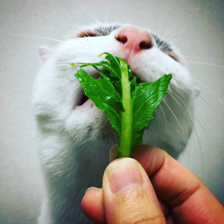 8603d21d dba6 433b ad61 40e35dfcf27f