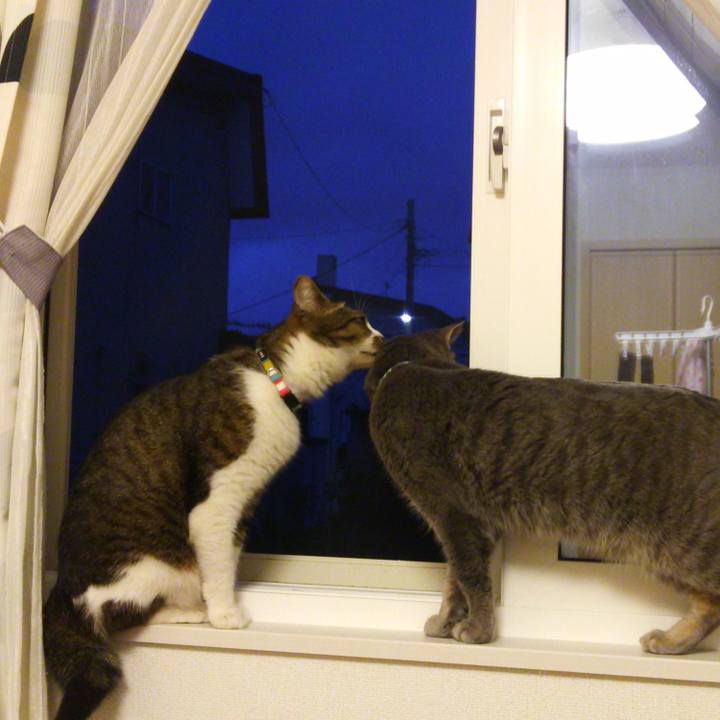 86042dd5 f033 4d63 89eb b0dec5daaf94