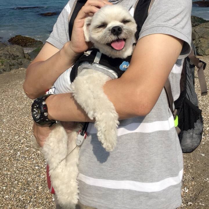 8604322a 0ecf 4304 be93 3ffd476ac2d4