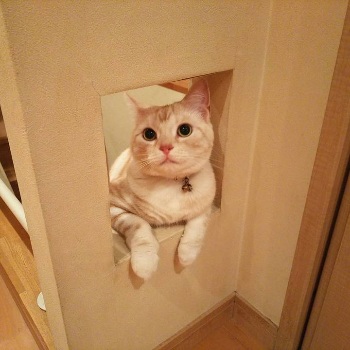 860438b9 5d7a 4203 9d32 34f4cf5ae3d1