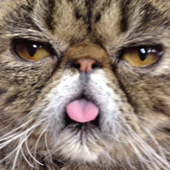 860581b3 2c6a 4b6e ad6b 51a9e6a0afae