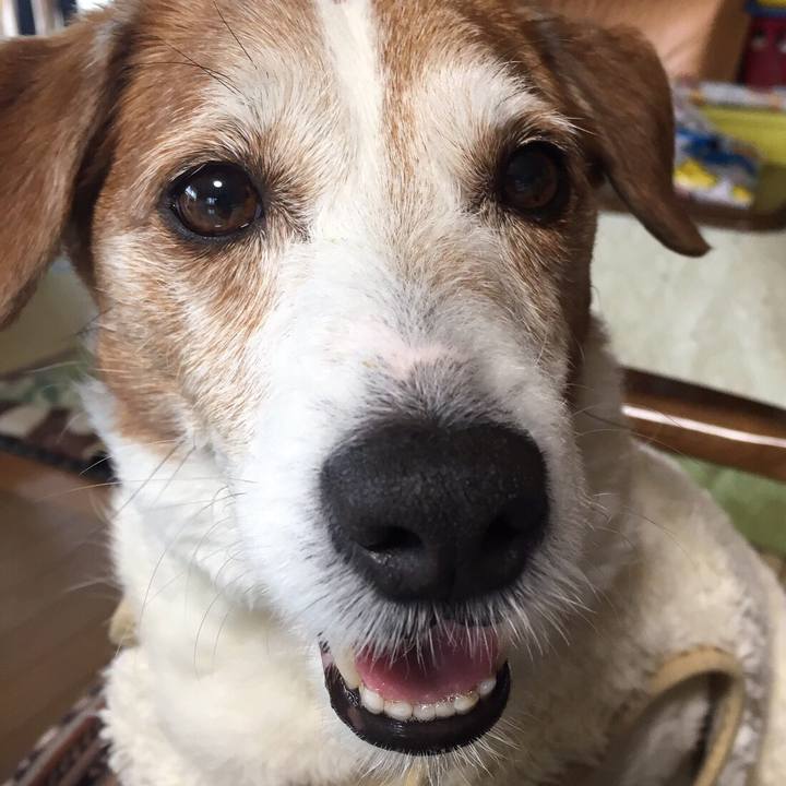 8605bb7d 09d4 4c87 a731 1f7af39ba015